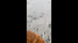 Walking the beach