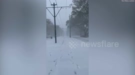 New Orleans transformed as rare snowfall blankets the city