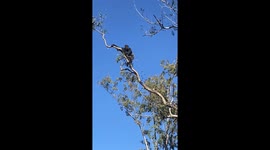 All That Hard Work Followed by Betrayal