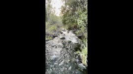 River in Los Penasquitos Canyon County Preserve