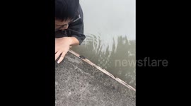 China: Rescuing a Drowning Kitten