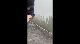 Passerby climbs down canal wall to rescue stranded kitten