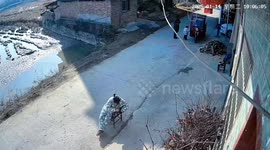 Curious toddler crashes grandfather's trike into pond