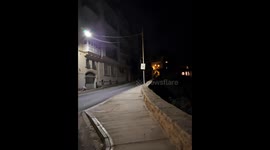 Chickens Roost on Tree