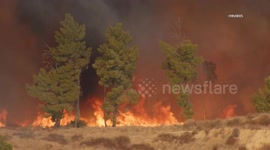 US, Los Angeles: Castaic Hughes Wildfire Jumps Lake Hughes Road Part 3