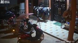 Huge elephant knocks over motorcycle as it wanders into resident's front yard
