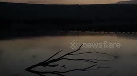 Israel: Israel's border with Lebanon, a stopover for thousands of migratory birds