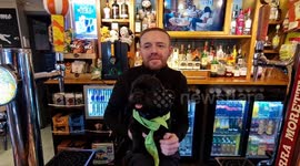 Pub landlord adopts dog after it dashed into bar when owner died in car crash