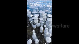 Stunning Ice Flowers and Frozen Bubbles Create a Winter Wonderland at Sayram Lake