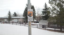 Canada: Canadian energy sector braces for potential US tariffs