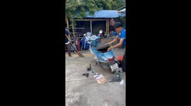 Mechanic startled when huge snake leaps from motorcycle seat