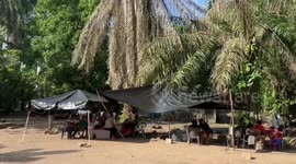 Honduras: New death threats arise against executives of the Agrarian Platform in Honduras