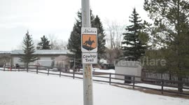 Canada: Canadian energy sector braces for potential US tariffs