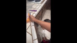 Kiddo Shares Cheese with Cat