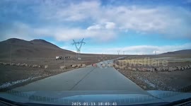 Flock of sheep block road in rural China