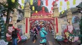 Vietnam: Hanoi markets flourish with peach, apricot blossoms  for Lunar New Year