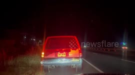 Police intercept animal smugglers and rescue baby orangutans in Thailand