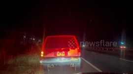 Police intercept animal smugglers and rescue baby orangutan in Thailand