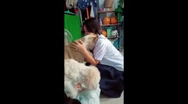 Sweet pet dog hugs student before she leaves for school