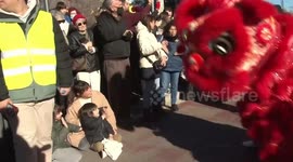 Spring Festival a positive example of cultural exchange: Spanish official