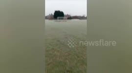 Fowl play - footie club forced to postpone match after flock of geese poo on pitch