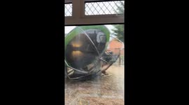 Storm Eowyn Wreaks Havoc: Trampoline Blown Away by Strong Winds in Belfast