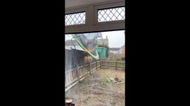 Storm Eowyn Wreaks Havoc: Trampoline Blown Away by Strong Winds in Belfast