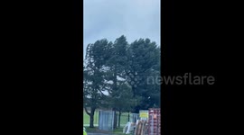 Storm Eowyn Brings Strong Winds To Parts UK And Ireland 5