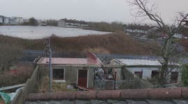 Damage to my garden shed by Storm Eowyn as well as showing the 2 trees downed in my next door neighbour's garden.
