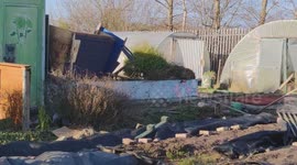 Storm Eowyn wrecks havock all over Ireland. This video shows damage to the Community Garden in Ballybane, Galway.