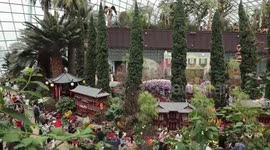 Singapore: Singapore's Gardens by the Bay ushers in Year of the Snake with floral displays