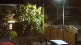 Storm Eowyn batters homes in County Down, Northern Ireland