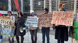 Migrant farm workers protest working conditions, London, England