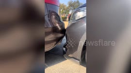Precision parking! Vehicles parked bumper-to-bumper in bizarre video