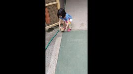 Brave 3 year-old girl catches escaped tame serama chicken in zoo