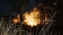 US, Los Angeles: Elysian Park Brush Fire