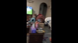 Cockatoo's Nightly Spinning Screams For Fun