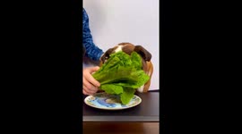 Bulldog Lettuce ASMR