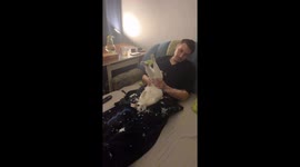 Owner Plays With Cat's Wiggly Legs