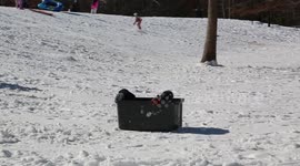 Kids and adults have fun after a rare snowstorm hits Southeast North Carolina, USA