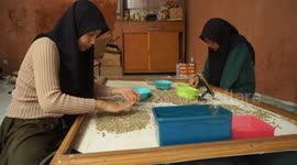 Manually shortening coffee beans in Papandayan, West Java, Indonesia