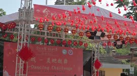 Spring Festival celebrations staged in Nairobi, Kenya
