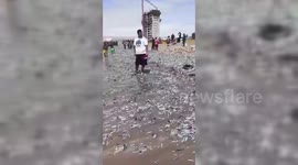 Chile: Dead Fish Washed Ashore In Chile