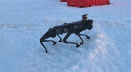 China's six-legged robot dog passes Antarctic tests to facilitate polar research