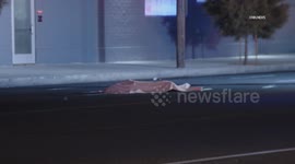 US, Los Angeles: North Hollywood Fatal Hit And Run Vehicle vs Pedestrian