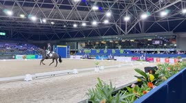 Netherlands hosts annual equestrian event