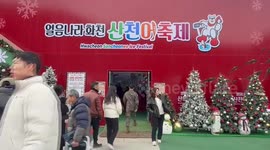 South Korea: Hwacheon Sancheoneo Ice Festival underway in South Korea