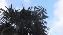 Spain: Galicia braces for the arrival of storm 'Herminia'