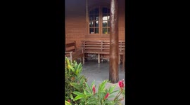 The Look of 1000 Regrets