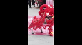 Robotic dogs perform lion dance in China's Shenzhen
